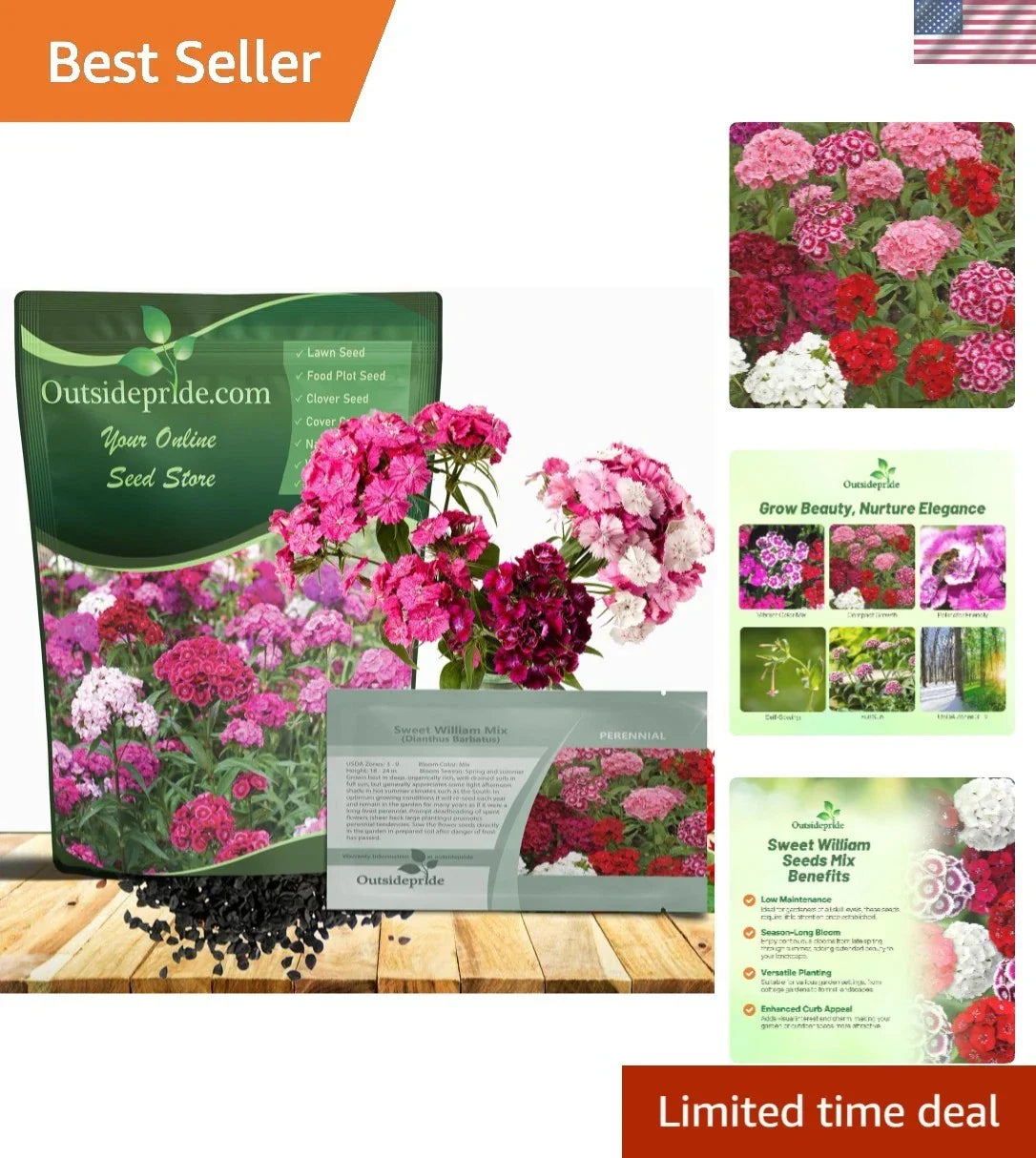 Perennial Sweet William Seeds 1/4 Lb - Vibrant Dianthus barbatus for Pollinator Gardens and Borders