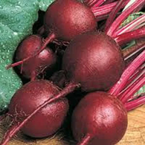 Beet Seeds - Ruby Queen Heirloom - Non-GMO Dark Red Sweet Beta vulgaris Vegetable Seeds for Home Gardens