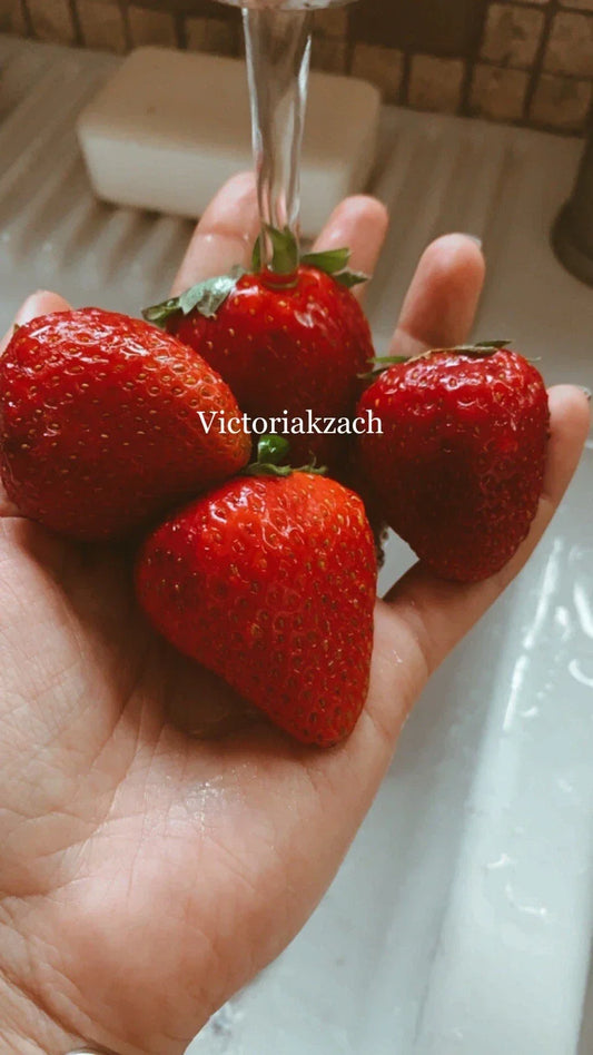 Organic Strawberry Seeds 200 Non-GMO Fragaria × ananassa for Home Garden, Edible, Juicy Berries