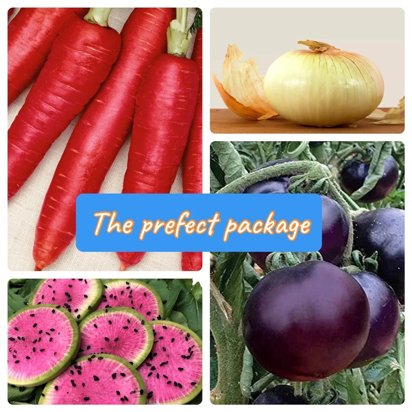 Vegetable Seed Packets | Heirloom Non-GMO Variety Collection | Organic Garden Seeds for Home Gardening