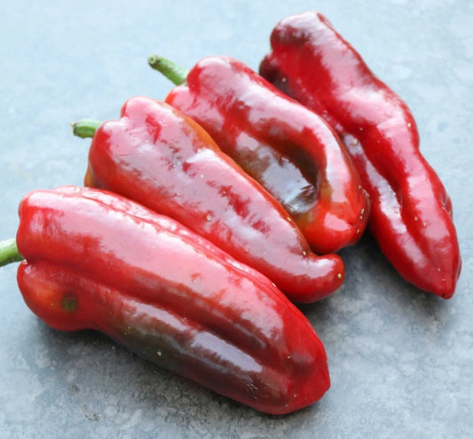 Marconi Red Pepper Seeds – 20 Premium Capsicum annuum Sweet Peppers for Home Gardening, Fresh, Non-GMO, Easy to Grow