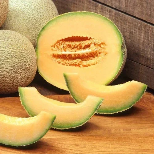 Cantaloupe Seeds Edisto 47 Heirloom Non-GMO Cucumis melo for Home Garden, Juicy Orange Flesh, Free Shipping