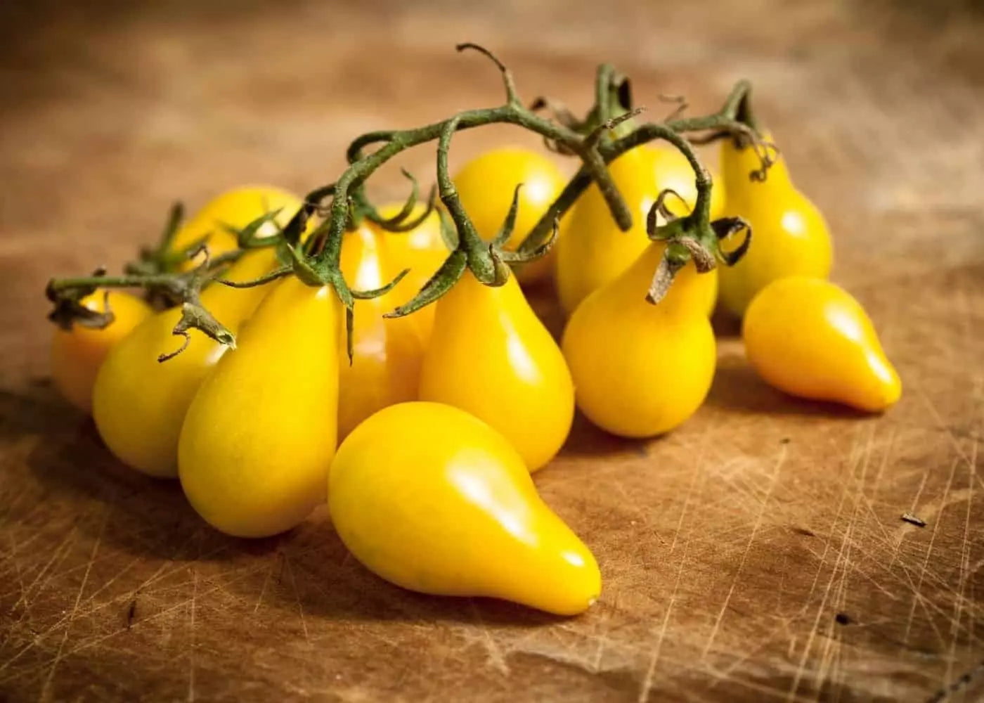 Yellow Pear Tomato Seeds - Heirloom Organic Non-GMO, Solanum lycopersicum, for Home Gardening, Salad, and Culinary Use