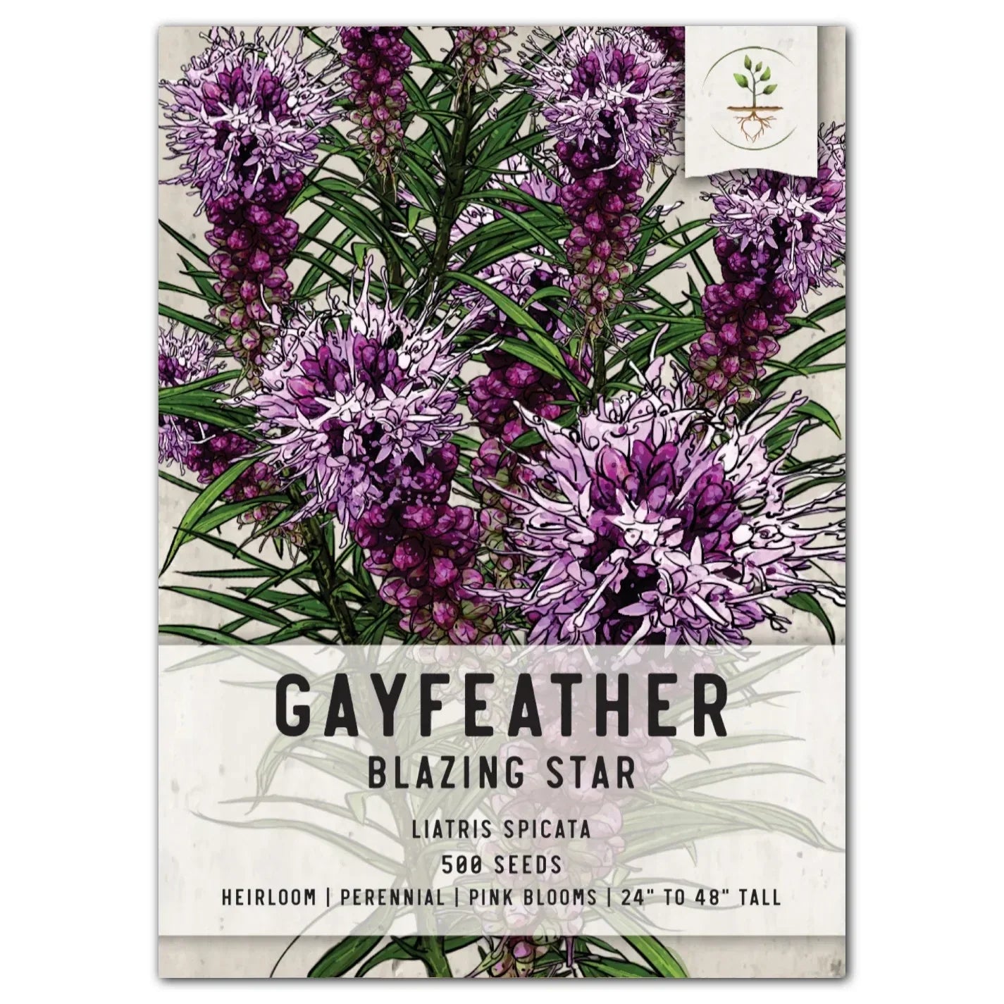 Gayfeather Wildflower Seeds - Liatris spicata - Native Perennial Flower Seeds for Garden, Pollinator Attracting, Easy to Grow