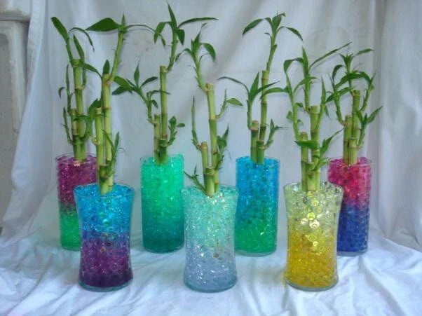 Water Beads for Lucky Bamboo Plants – Hydrating Gel Crystals for Plant Care – Colorful Water Absorption Beads – Dracaena Sanderiana