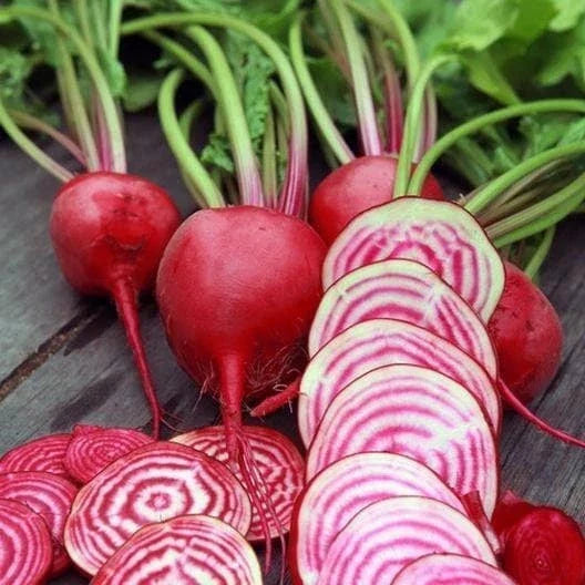 Chioggia Beet Seeds - Non-GMO Heirloom Beta vulgaris var. cicla for Organic Gardening, Candy Stripe Pattern, Full Sun, 200 Seeds