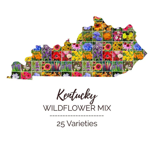 Kentucky Wildflower Seed Mix - 25 Varieties - Perennial & Annual - Non-GMO - 1000 Seeds for Gardens & Meadows
