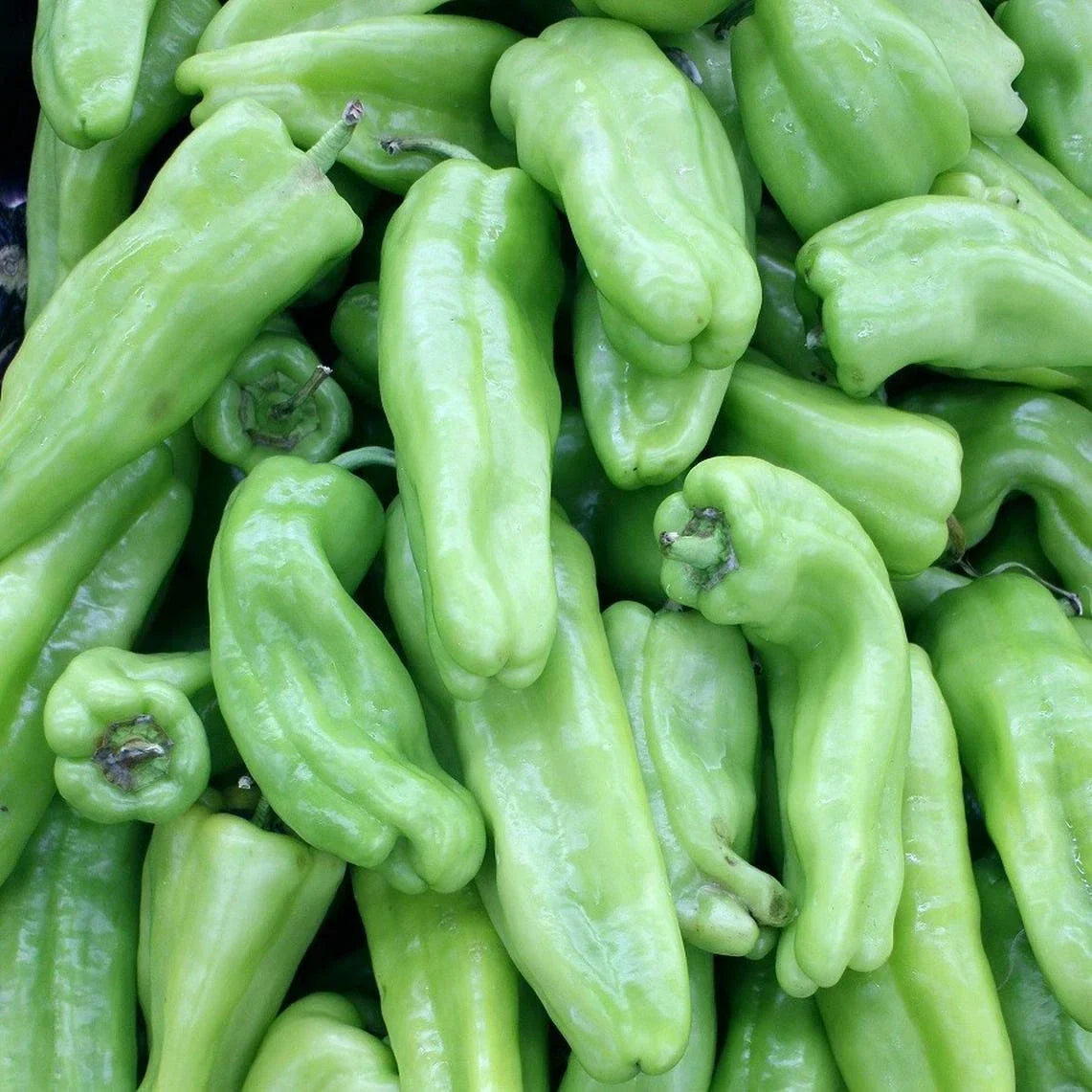 Cubanelle Pepper Seeds – Non-GMO Vegetable Seeds for Home Garden, Capsicum annuum, Sweet Mild Flavor, Pack of 50+