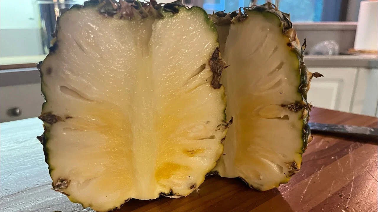 Sugarloaf Pineapple Seeds - Ananas comosus - Tropical Fruit Plant for Home Gardening, USA Grown