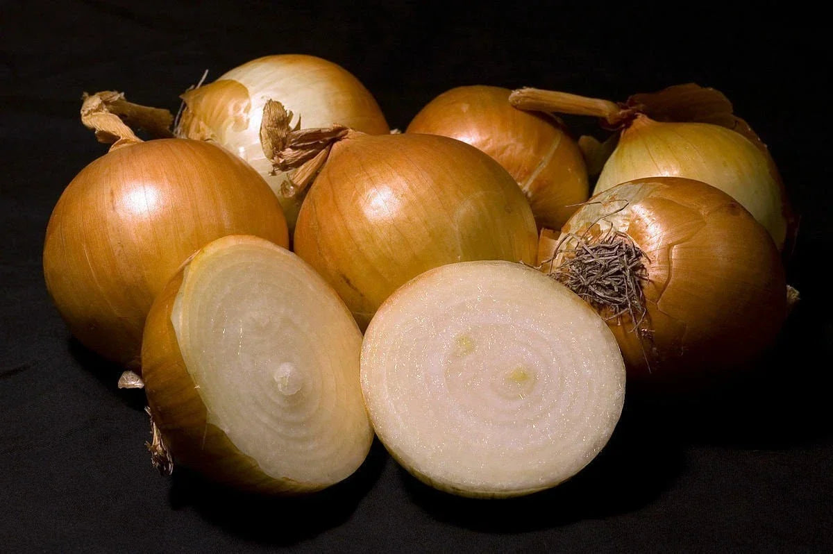Walla Walla Sweet Onion Seeds - Heirloom Non-GMO Allium cepa for Gardening, Large Bulb, Mild Flavor, Perfect for Home Garden