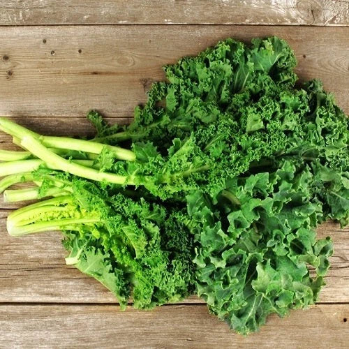 Dwarf Siberian Kale Seeds - 1,000 Non-GMO Heirloom Brassica oleracea var. sabellica for Gardening, Compact, Cold-Hardy Greens