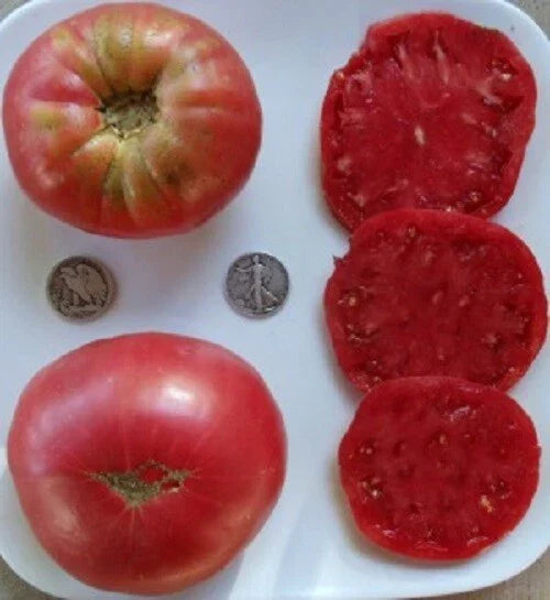 Huge Pink Heirloom Beefsteak Tomato Seeds – 25 Non-GMO Open-Pollinated, Delicious, Large Pink Fruits for Gardens & Cut Flowers