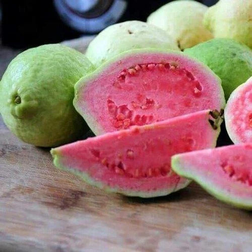 Taiwan Pink Guava Seeds Pack of 50+ for Garden Planting Psidium guajava Tropical Fruit Seeds