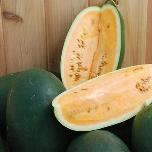 Organic Sweet Siberian Watermelon Seeds - Pack of 10 - Heirloom, Non-GMO, Citrullus lanatus, Summer Garden Plant