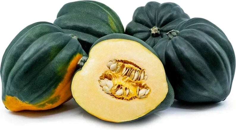 Organic Acorn Winter Squash Seeds - Heirloom Cucurbita pepo, 10 Pack, USA Grown, Vegetable, Full Sun, Nutty Flavor