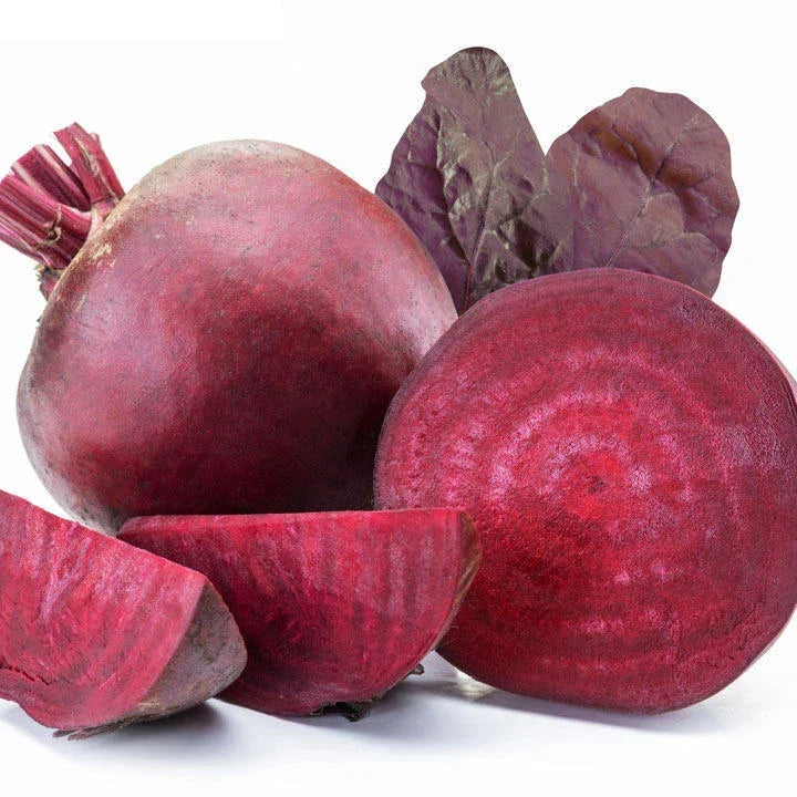 Bulls Blood Beet Seeds - Organic Beta vulgaris Vegetable Gardening - Non-GMO, Full Sun, 200 Seeds