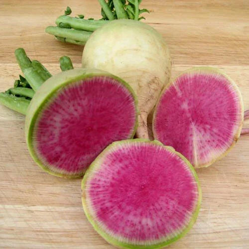 Watermelon Radish Seeds - 200+ Heirloom Chinese Red Heart Raphanus sativus for Salad, Pickling, and Garnishes