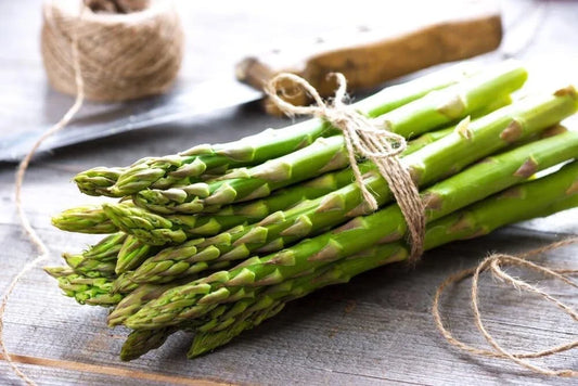 Jersey Knight Asparagus Bare Root Plants – 2-Year Crowns, Perennial Vegetable, Asparagus officinalis, Easy to Grow