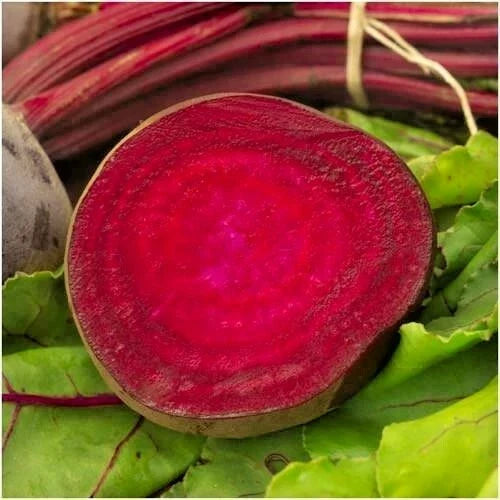 Bulls Blood Beet Seeds - 100+ Heirloom Vegetable Seeds for Garden & Container - Beta vulgaris