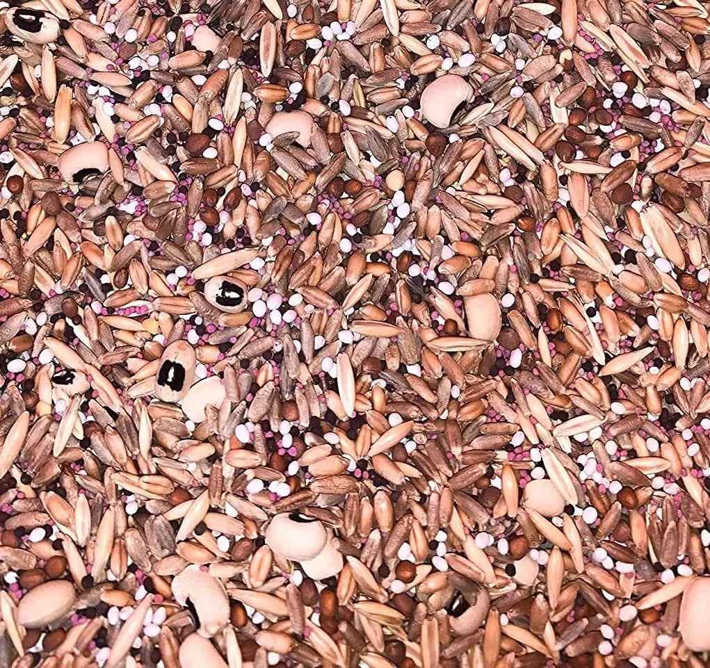 No-Till Cover Crop Seed Mix - 10 Varieties - Winter Rye, White Clover, Austrian Winter Peas - Secale cereale, Trifolium repens, Pisum sativum
