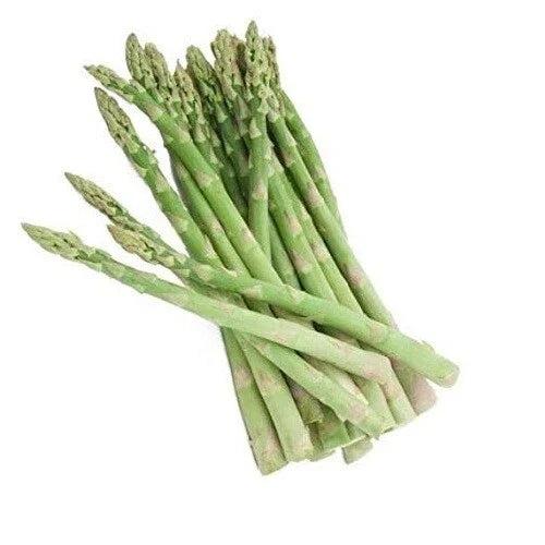 Asparagus Seeds - 50+ Perennial Drought Tolerant UC 72 - Asparagus officinalis Vegetable Seeds for Home Gardens
