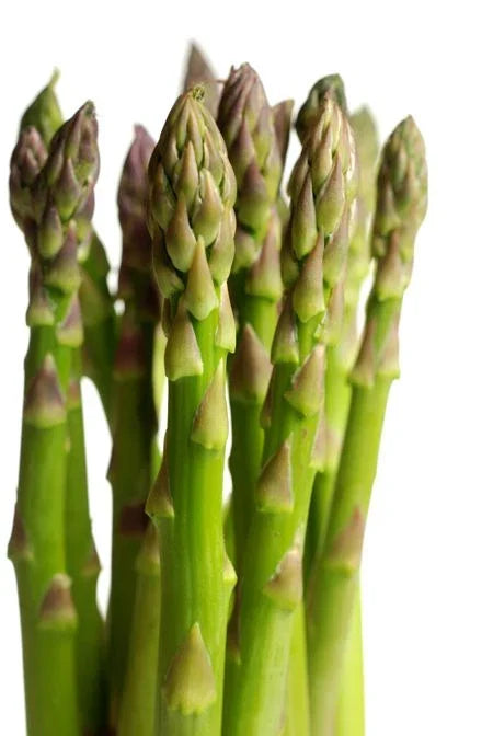 Mary Washington Asparagus Seeds - Heirloom, Non-GMO, Perennial, Asparagus officinalis, Full Sun, Easy to Grow