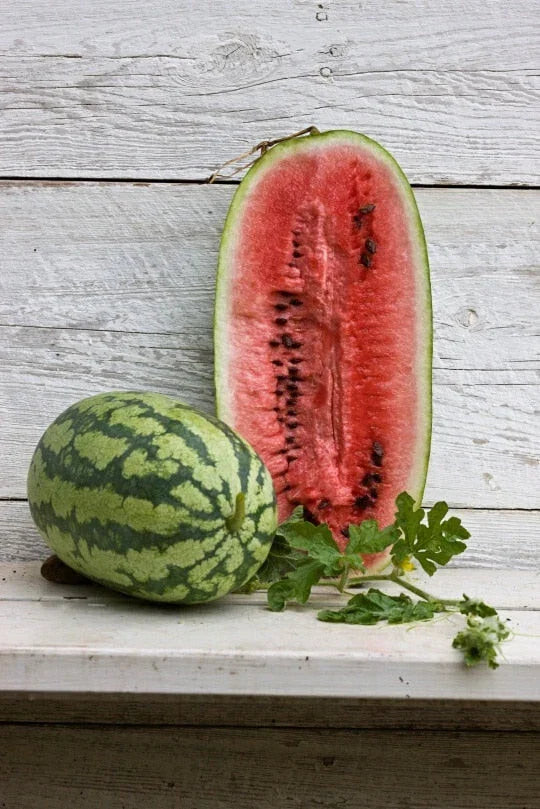 Georgia Rattlesnake Watermelon Seeds - Pack of 50+ Citrullus lanatus, Striped Rind, Sweet Juicy Fruit, USA Grown, Vining, Summer Garden