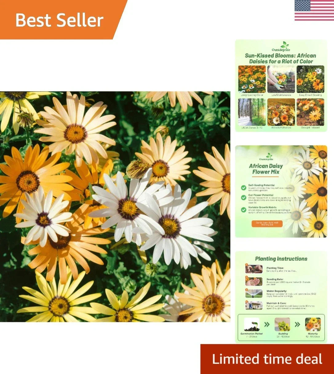 Heirloom African Daisy Seeds 1/4 lb - Easy-to-Grow Annuals for Borders - Dimorphotheca spp.
