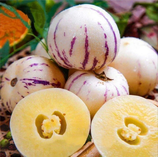 Pepino Melon Seeds 10 Pack - Solanum muricatum Exotic Fruit, Melon Pear, Sweet Cucumber, Juicy, Edible Plant Seeds