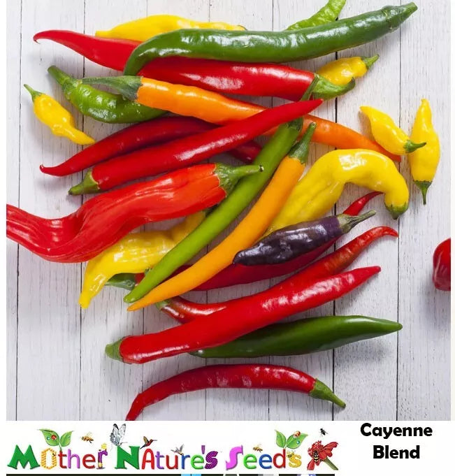 Cayenne Pepper Seeds Fiesta Blend – Non-GMO Capsicum annuum for Spicy Culinary Use, 90 Seeds