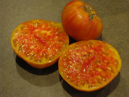 Hillbilly Tomato Seeds - Heirloom Organic Non-GMO - Solanum lycopersicum - Rare Yellow-Orange Fruit Pack of 120+