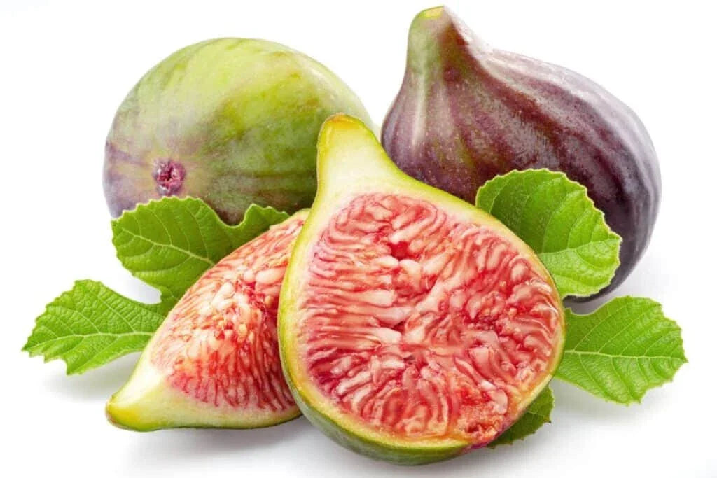 Celeste Fig Seeds - 100+ Non-GMO Ficus carica 'Celeste' for Garden Planting, Sweet Edible Figs, Full Sun, USA Grown