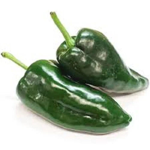 Organic Poblano Hot Pepper Seeds – Capsicum annuum, Ancho Variety, Mild 1000 Scoville, Pack of 100 Seeds