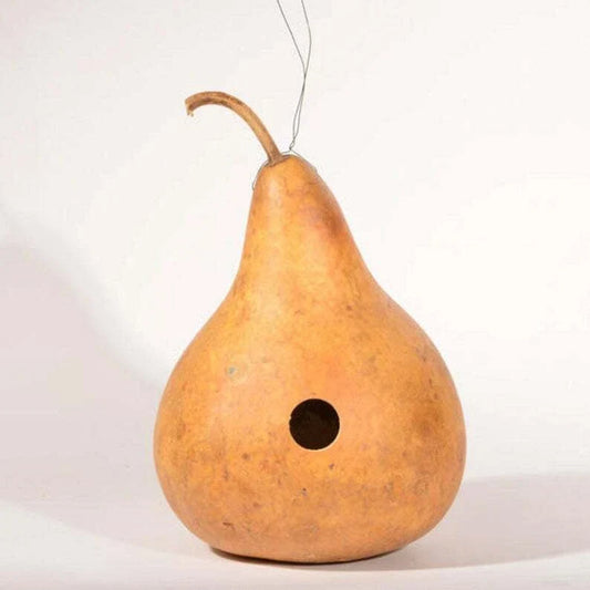 Martinhouse Gourd Seeds – Fresh Lagenaria siceraria for Planting, Ornamental & Crafting, Vining Annual, Full Sun, Pack of Seeds
