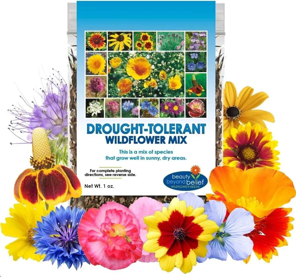 Drought Resistant Wildflower Seeds 1oz Bulk Mix – Multi-Color, Open-Pollinated, Native, Butterfly & Pollinator Attracting