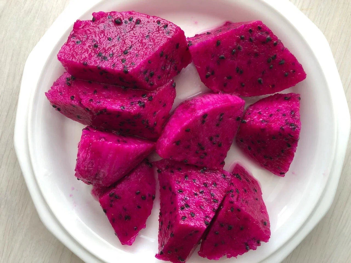 Red Dragon Fruit Cuttings 9-14" - Hylocereus undatus 'Condor' - High-Quality Cactus for Gardening and Propagation