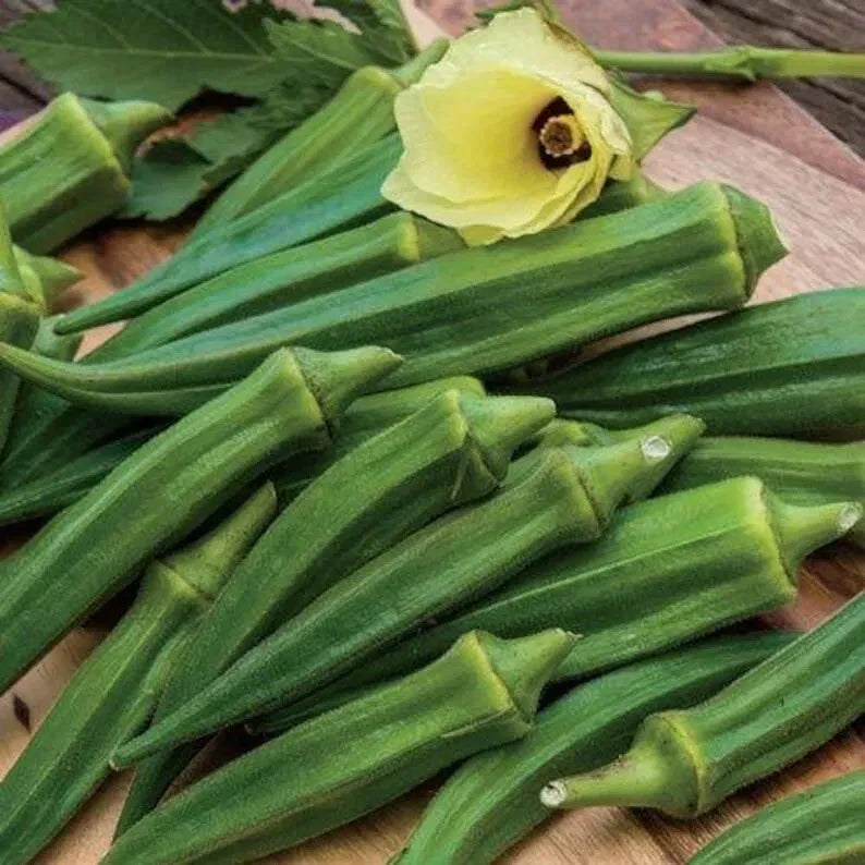 Emerald Okra Seeds - 25+ Heirloom Non-GMO Abelmoschus esculentus Vegetable Seeds for Home Garden, Tender Green Pods