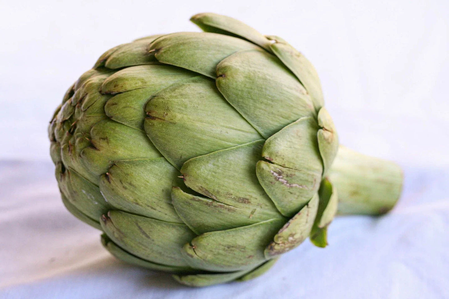 Artichoke Seeds Pack of 5 - Heirloom Cynara scolymus Vegetable Seeds for Home Garden & Container Planting