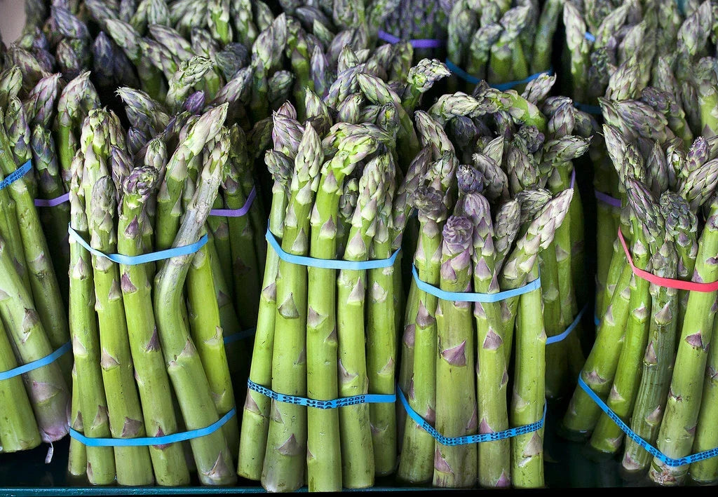 Asparagus Seeds 100 Count Mary Washington Heirloom Non-GMO Perennial Vegetable Officinalis