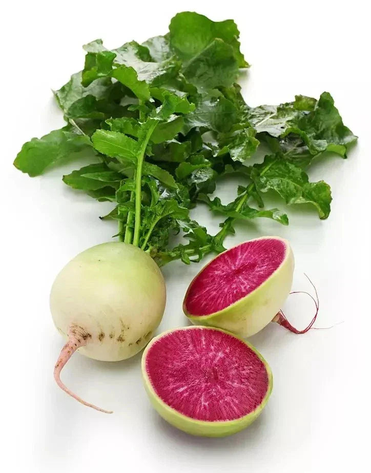 Watermelon Radish Seeds - 100+ Non-GMO Organic Heirloom Raphanus sativus for Home Garden, Salad Garnish