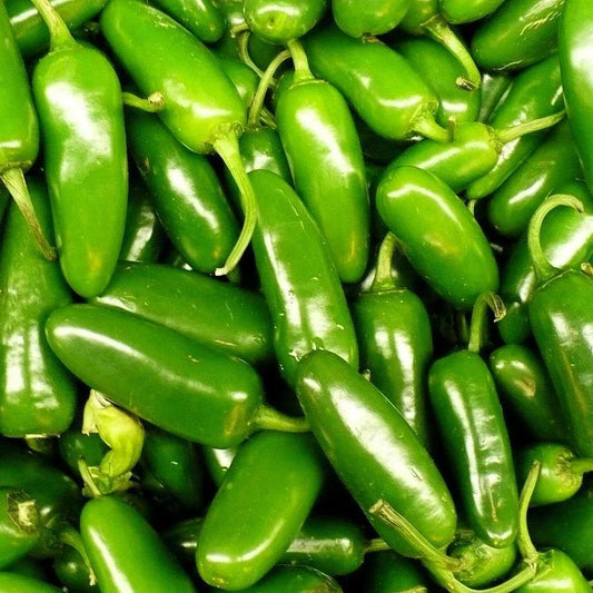 Jalapeno Pepper Seeds - Heirloom Capsicum annuum for Home Gardening, Spicy Peppers, Culinary Use, Non-GMO, 25 Seeds