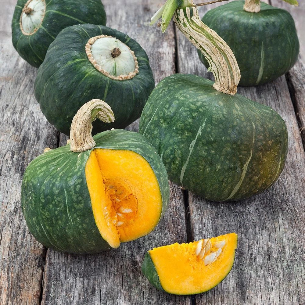 Burgess Buttercup Squash Seeds – Heirloom Cucurbita maxima – 20+ Pack for Organic Vegetable Garden 2025