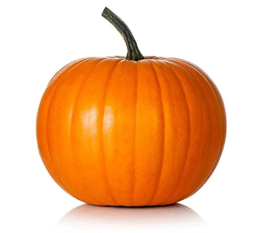 Hijinks Pumpkin Seeds Pack of 25+ | Cucurbita pepo Non-GMO Garden Seeds for Carving & Cooking