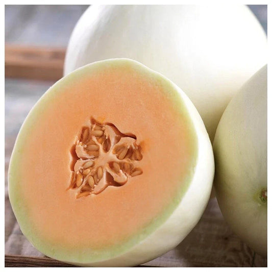 Honey Dew Orange Flesh Cantaloupe Seeds - Pack of 50+ Cucumis melo Muskmelon for Summer Garden, Juicy Fruit, Non-GMO, Easy to Grow