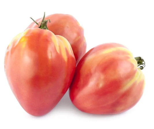 Heirloom Tomato Seeds - Russian Bicolored Oxheart - Indeterminate, Non-GMO, 30 Seeds, Solanum lycopersicum, Unique Bicolored Fruits