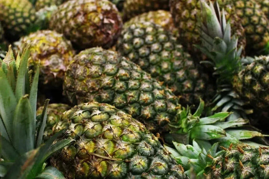Montufar Pineapple Seeds - 15+ Ananas comosus Garden Planting Pack for Home Gardening and Container Growing