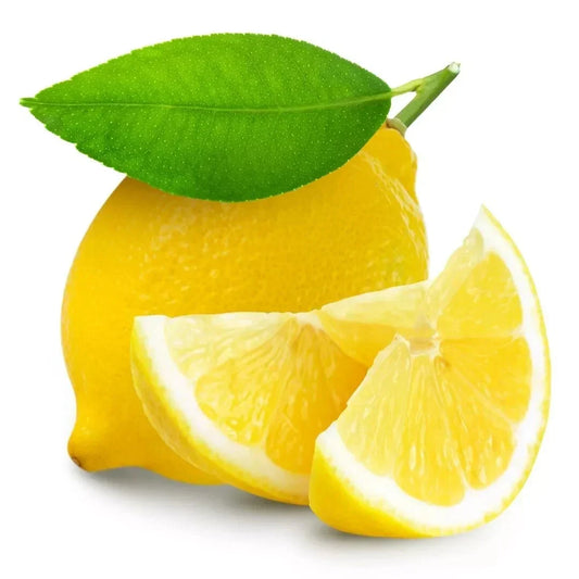 Lemon Seeds Citrus limon 15 Pack - Fresh USA Grown Fruit Tree Seeds for Home Garden, Dwarf Growth, Full Sun, 2024 Harvest
