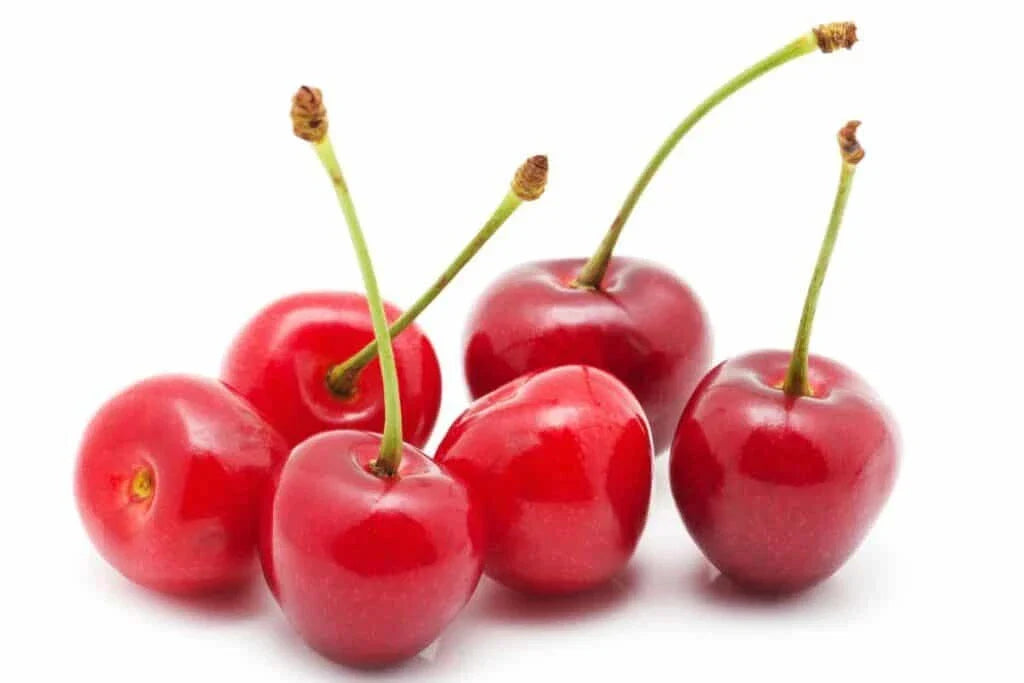 Sour Cherry Seeds - 10+ Pack - Tart Cherry Variety - Prunus cerasus - Home Garden, Fast Shipping