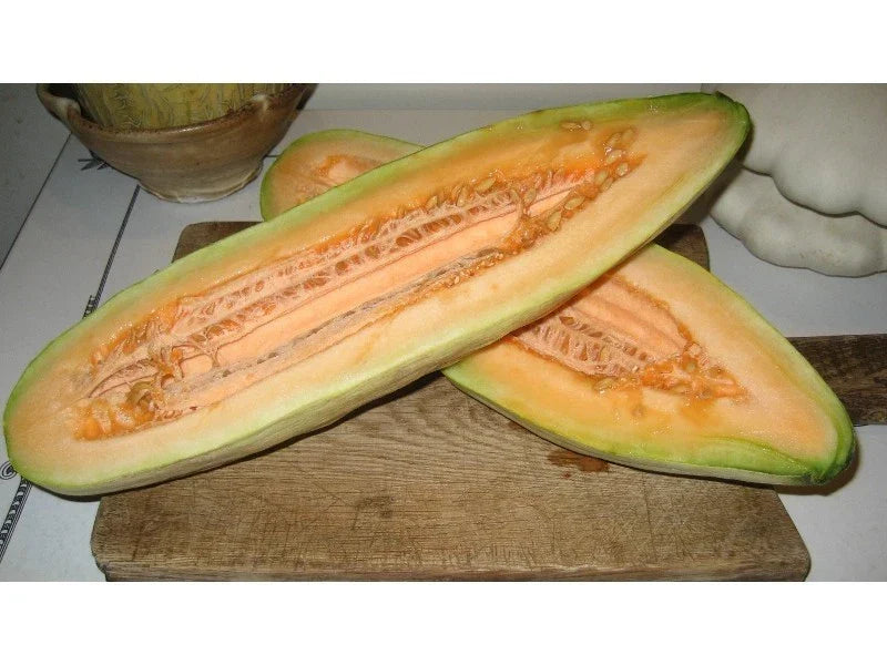 Banana Cantaloupe Seeds - Cucumis melo - Sweet Juicy Melon Seeds for Gardening, Non-GMO, Full Sun, Vining Plant, 20 Seeds