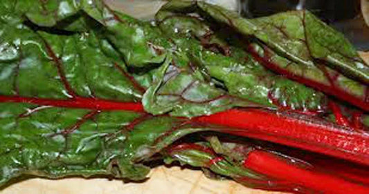 Heirloom Rhubarb and Swiss Chard Seeds – Non-GMO, 500 Pack, Organic Gardening, Home Garden, Beta vulgaris, Rheum rhabarbarum